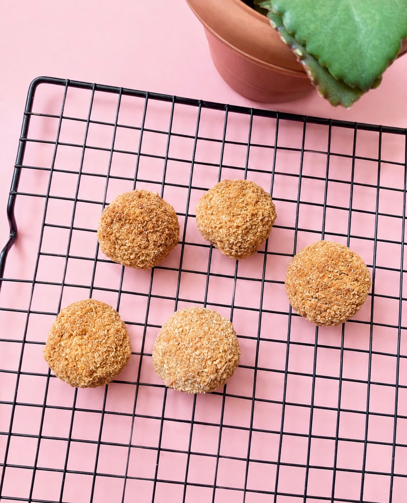 Coconut Fudge Balls