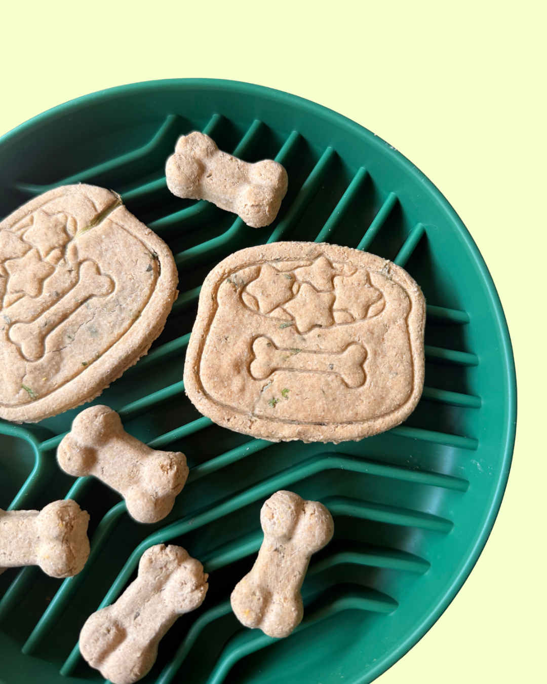 Garden Cheese Broth Cookie