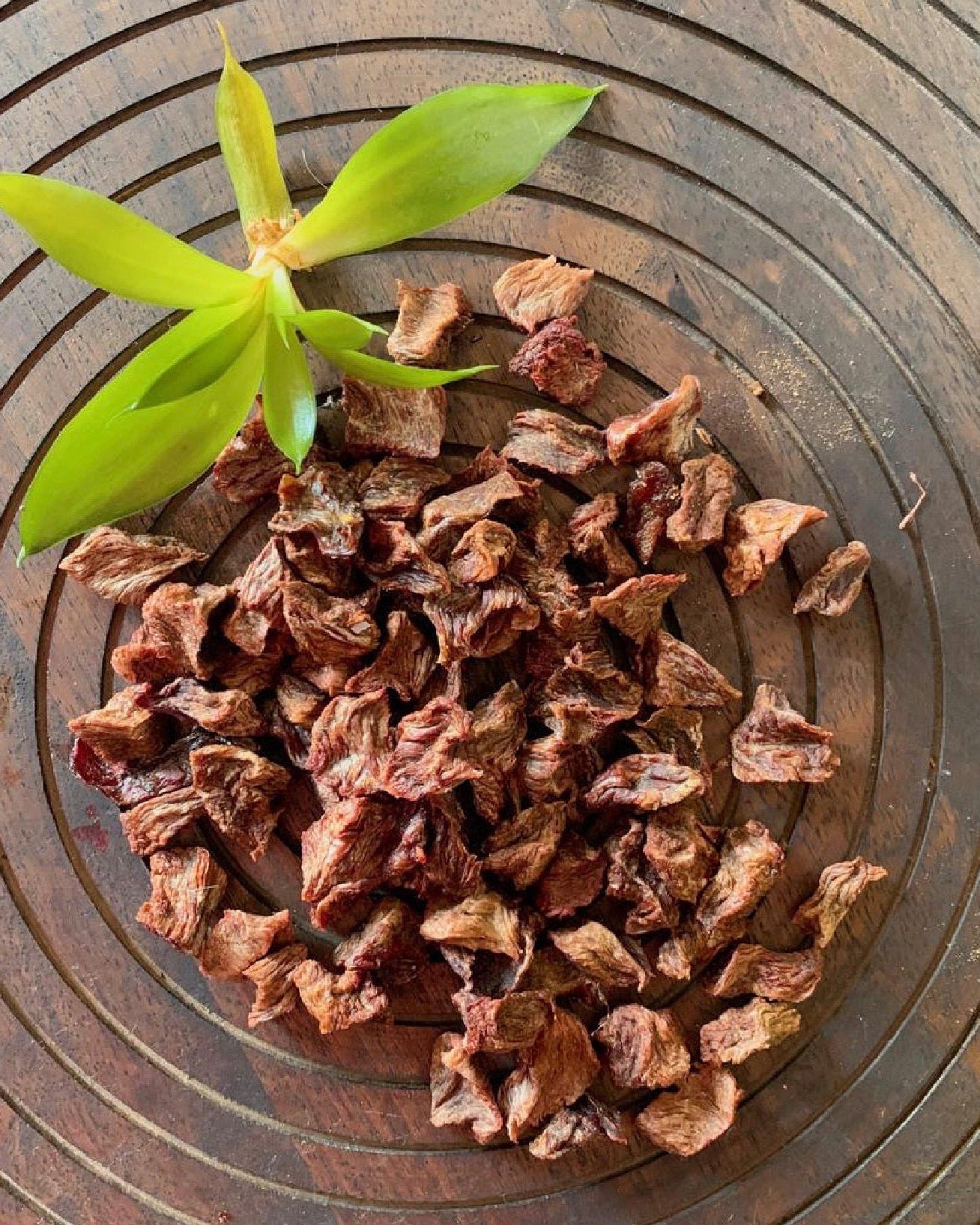 Wild Bites