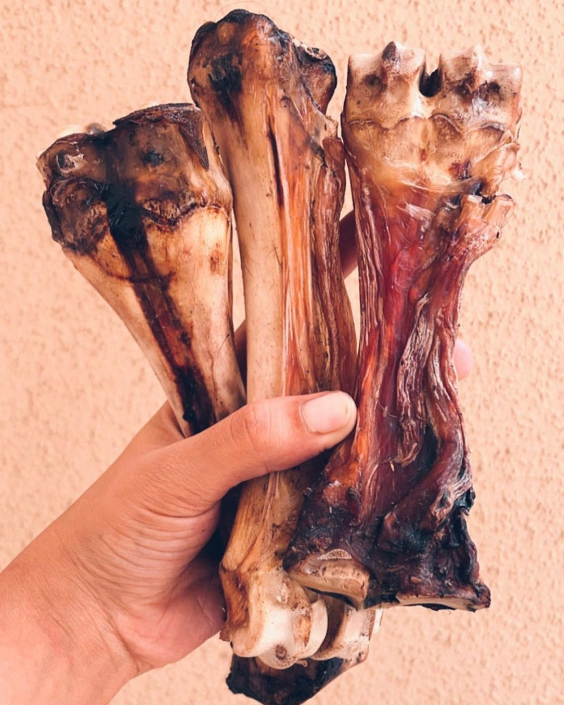 Buffalo Chewbone