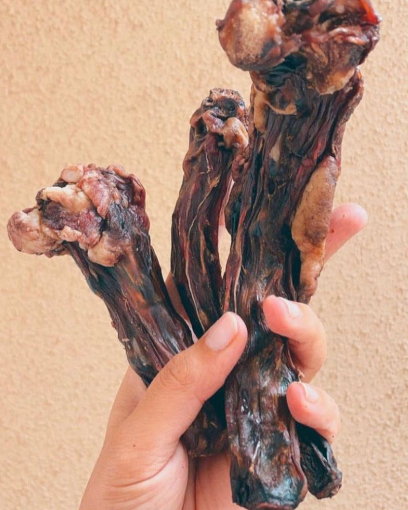 Buffalo Tail