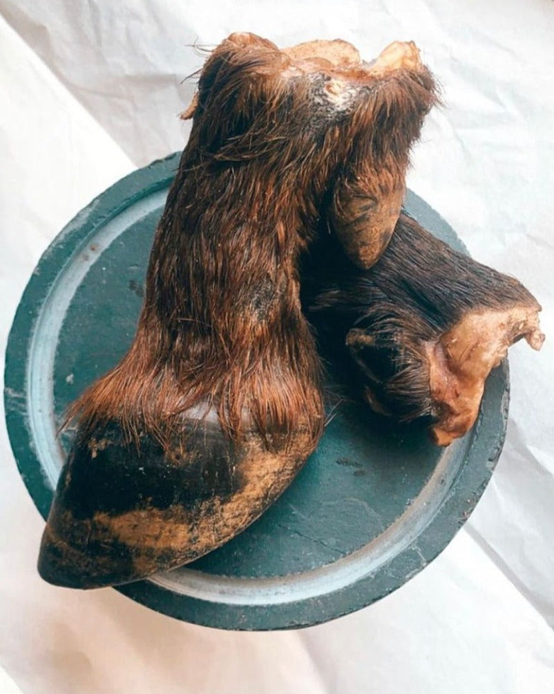 Buffalo Hoof