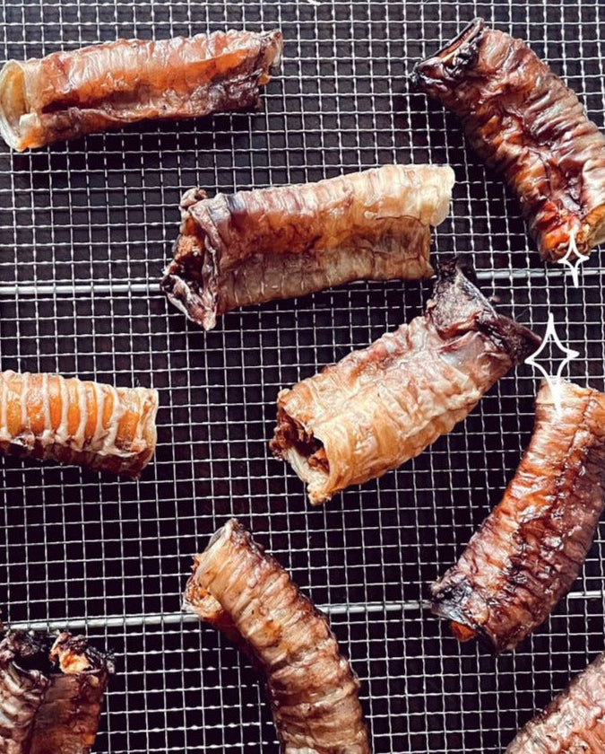 Stuffed Trachea