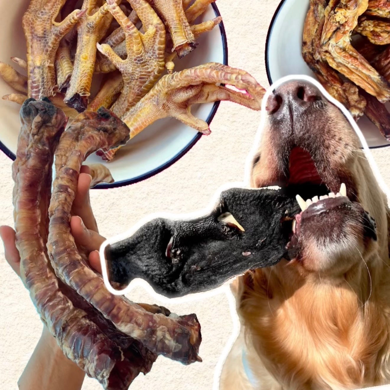 Air-Dried Chew Club 🦴