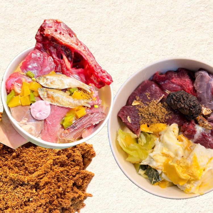 Wellness Boosters / Toppers ✨