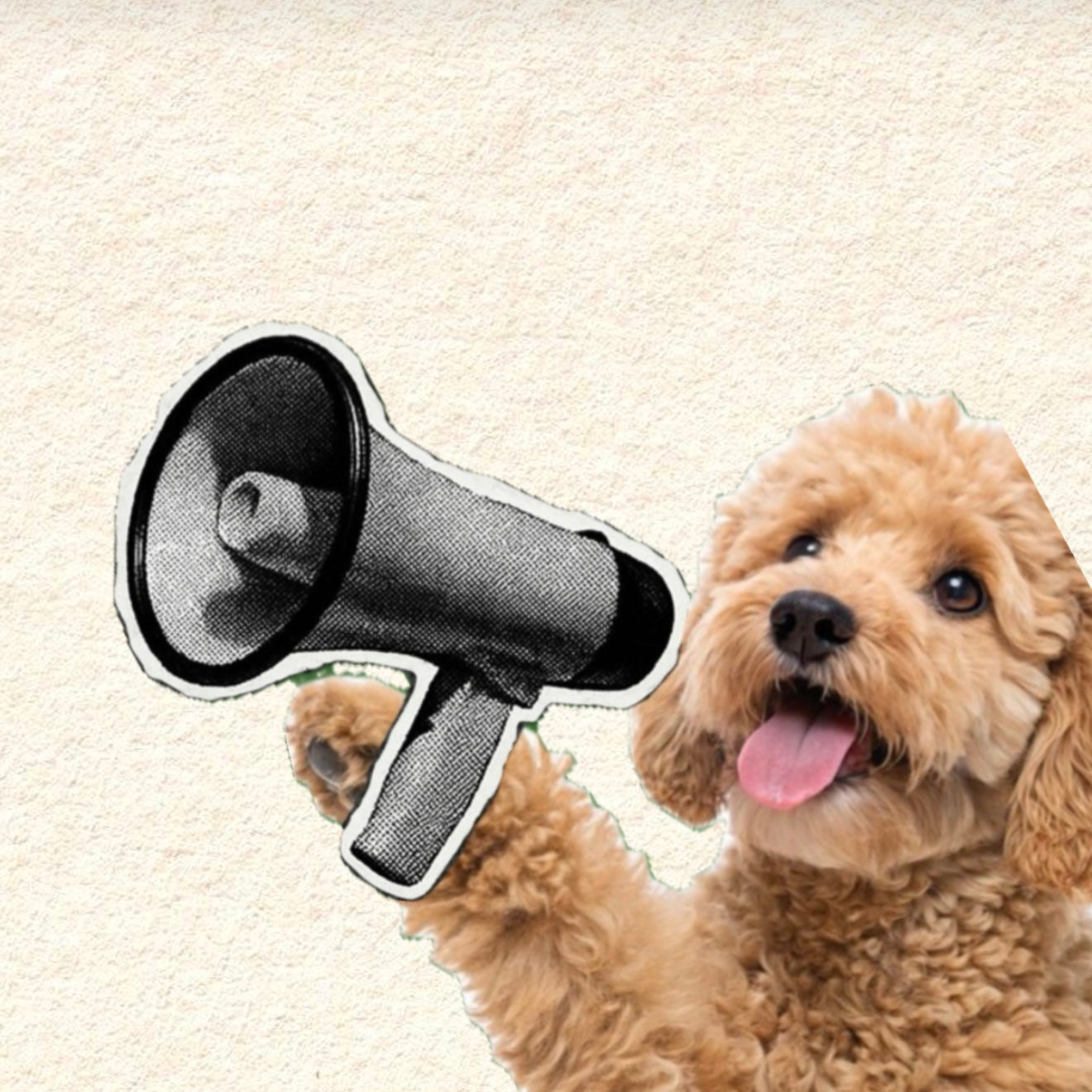 Limited Specials 🫶🏻