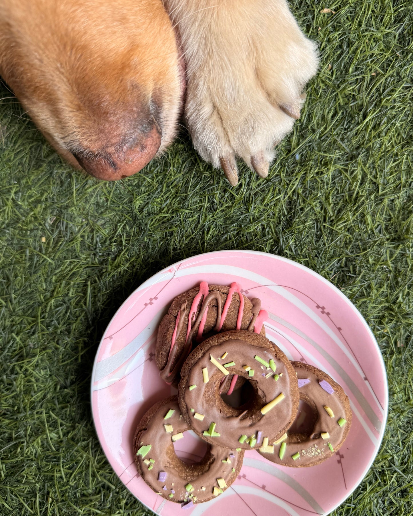 Glazed Doggy Donuts