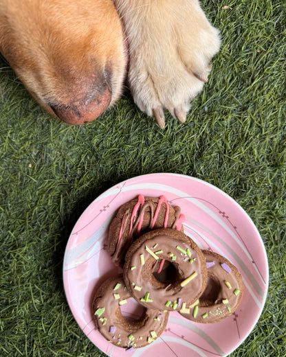 Glazed Doggy Donuts