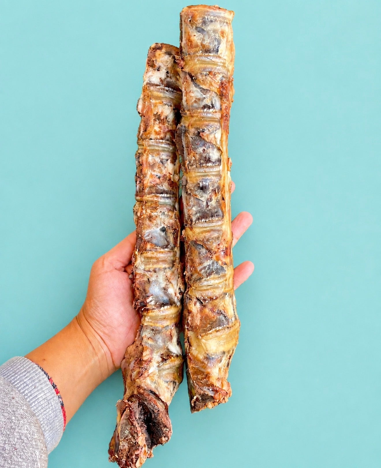 Buffalo Spine Chew