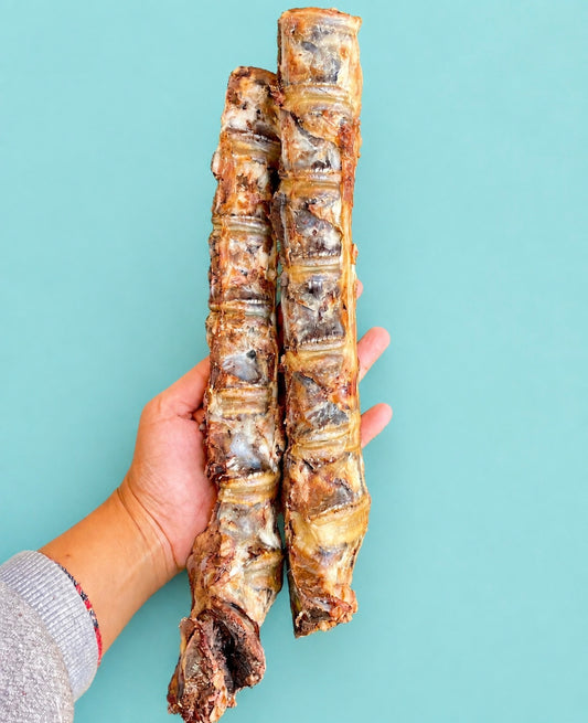 Buffalo Spine Chew