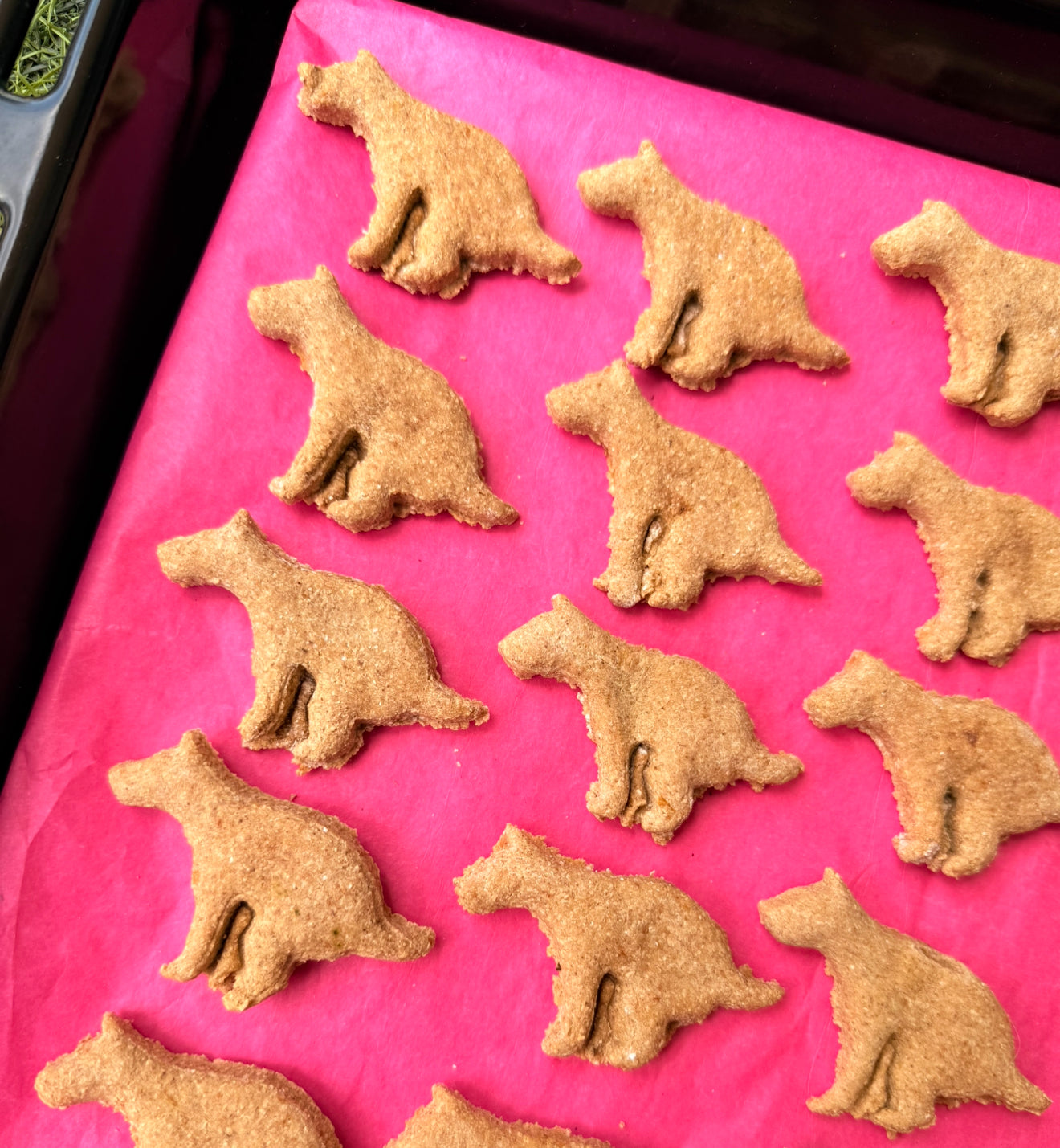 Gut Glow Hemp Cookie