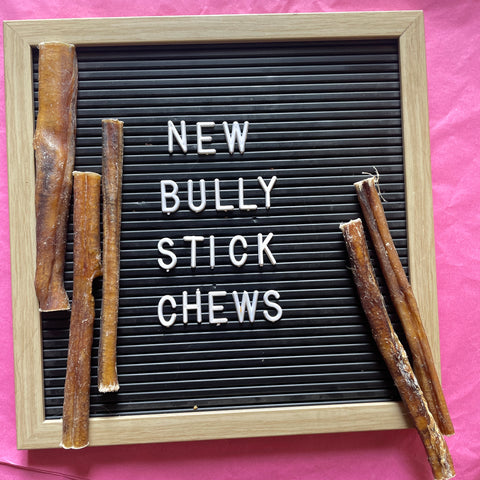 Bully Sticks | Braided Pizzle