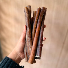 Bully Sticks | Braided Pizzle