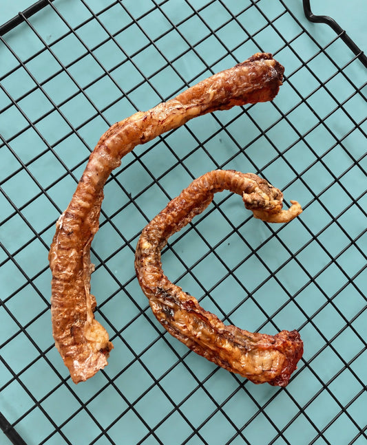Goat Trachea
