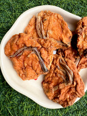 Wildfoot Moringa Pucks