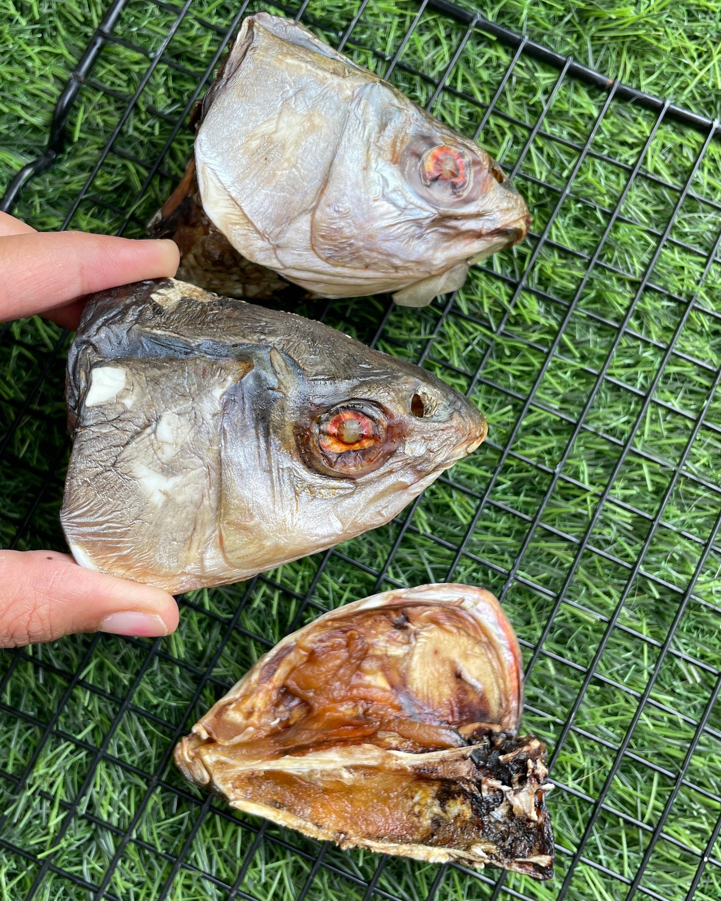 Fish Head Chew