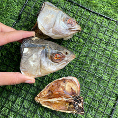 Fish Head Chew