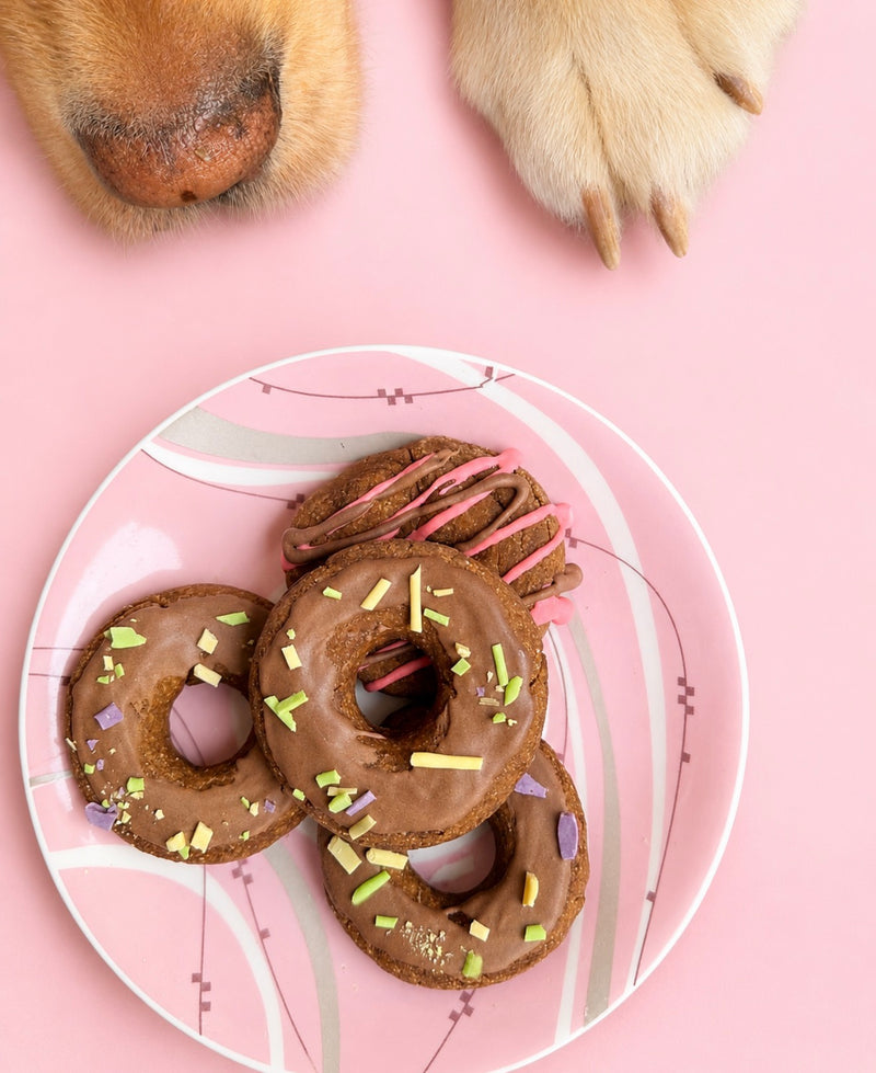 Glazed Doggy Donuts