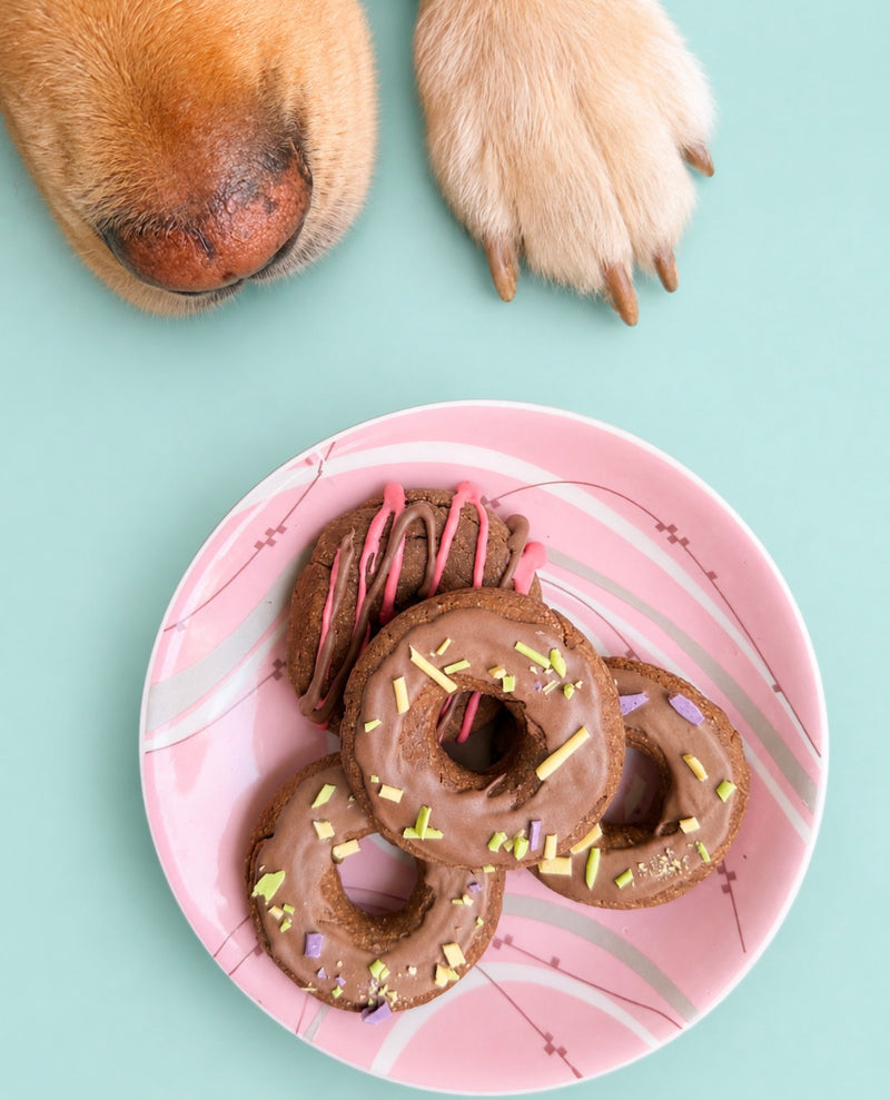 Glazed Doggy Donuts