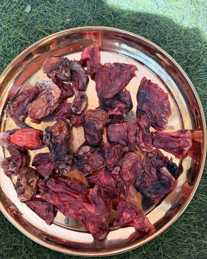 Testicle & Ovary Mix