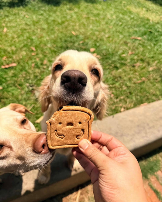 French Toastie