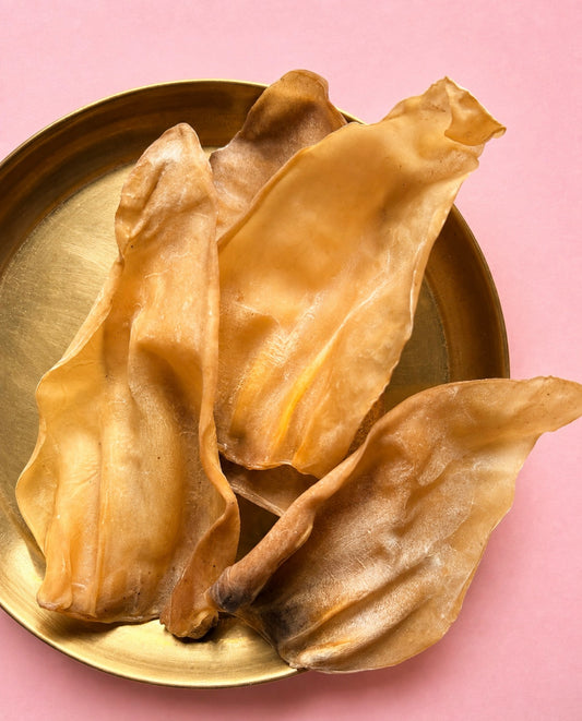 Ear Chew | Cow | Buffalo