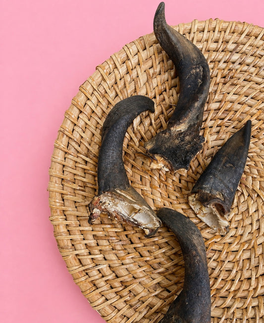 Horn Chews