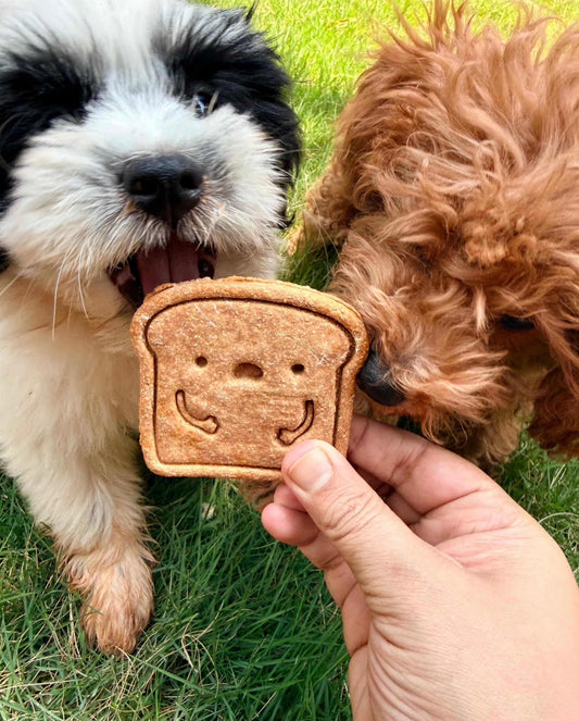 French Toastie