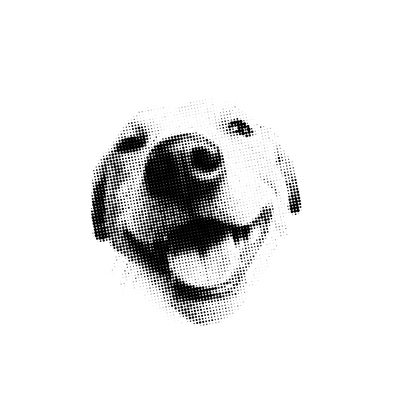 sticker 11