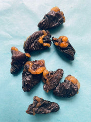 Chicken Treats and Organs