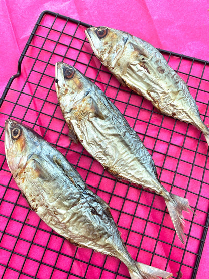 Fish Club