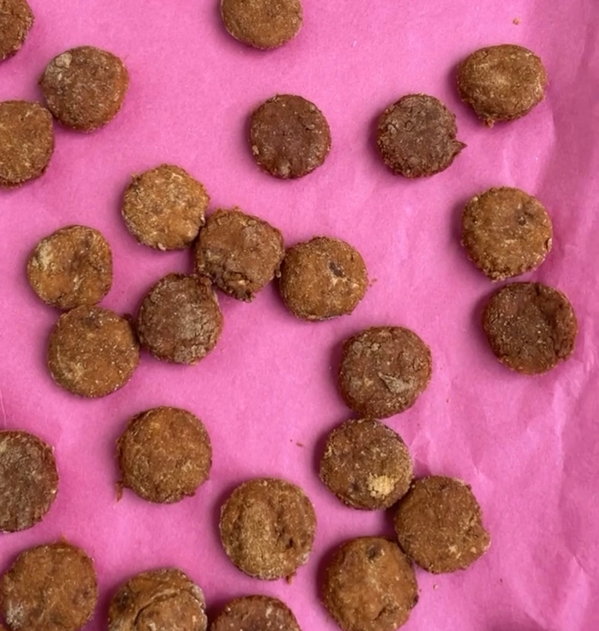 Meat & Chickpea Coins