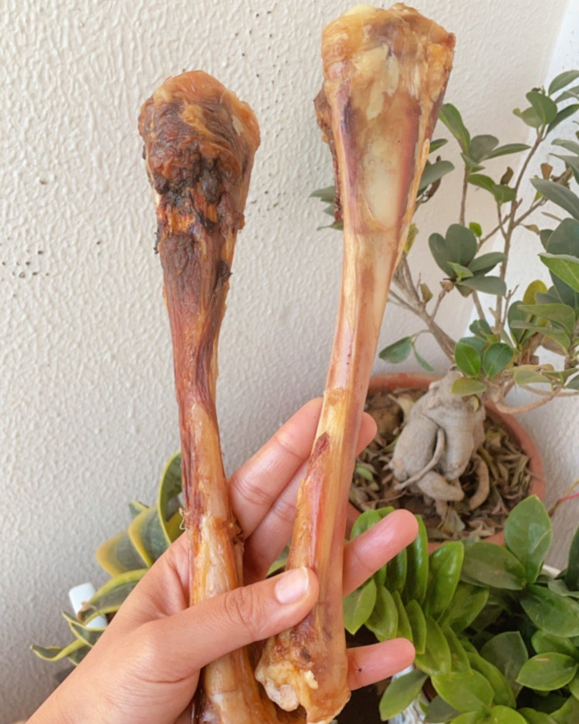 Lamb Shank Chew