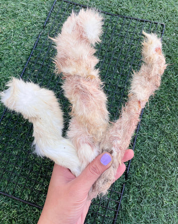 Rabbit Skin Chew