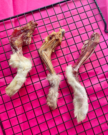 Rabbit Paws | Pawtips