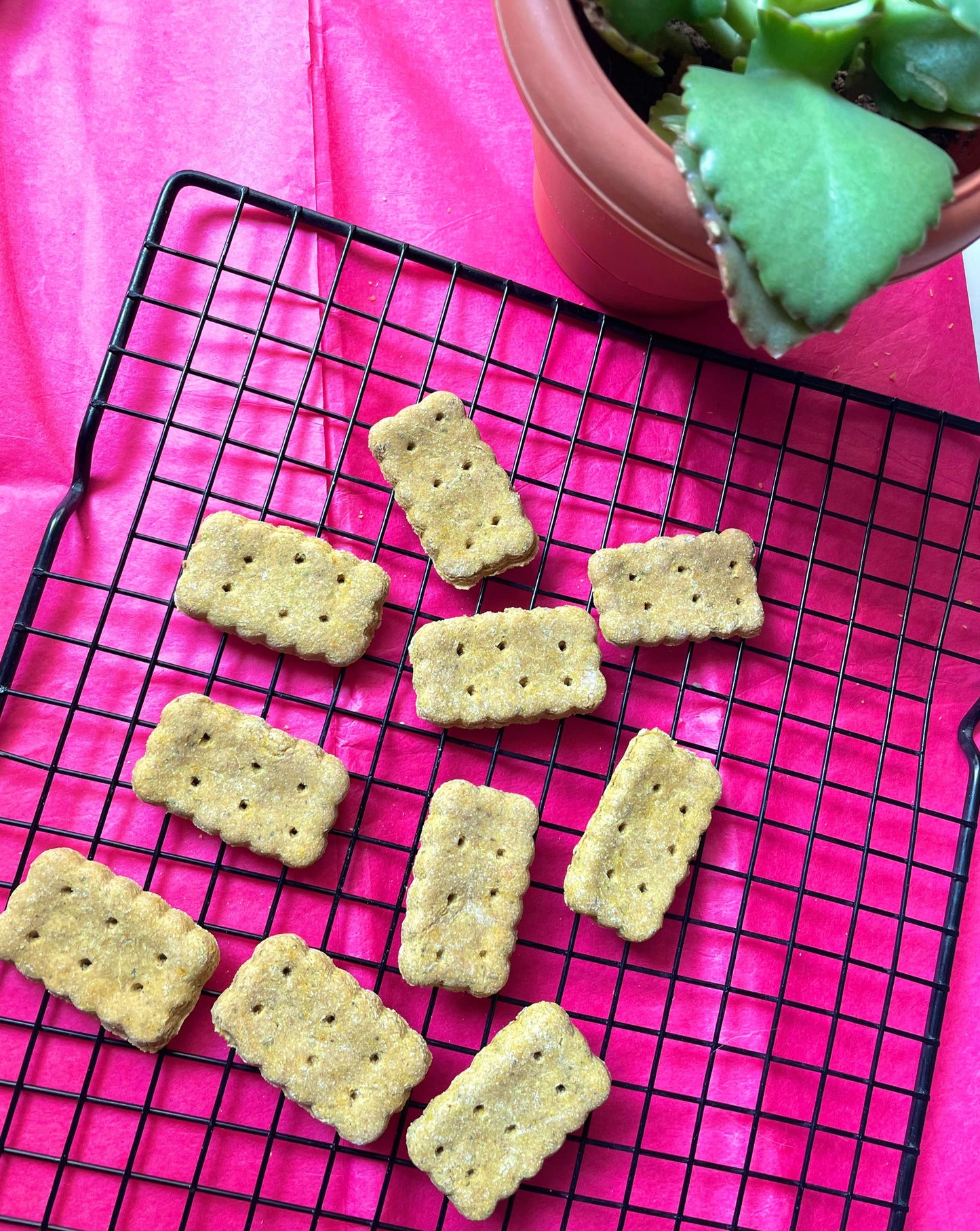 Gourmet Cookie Selection
