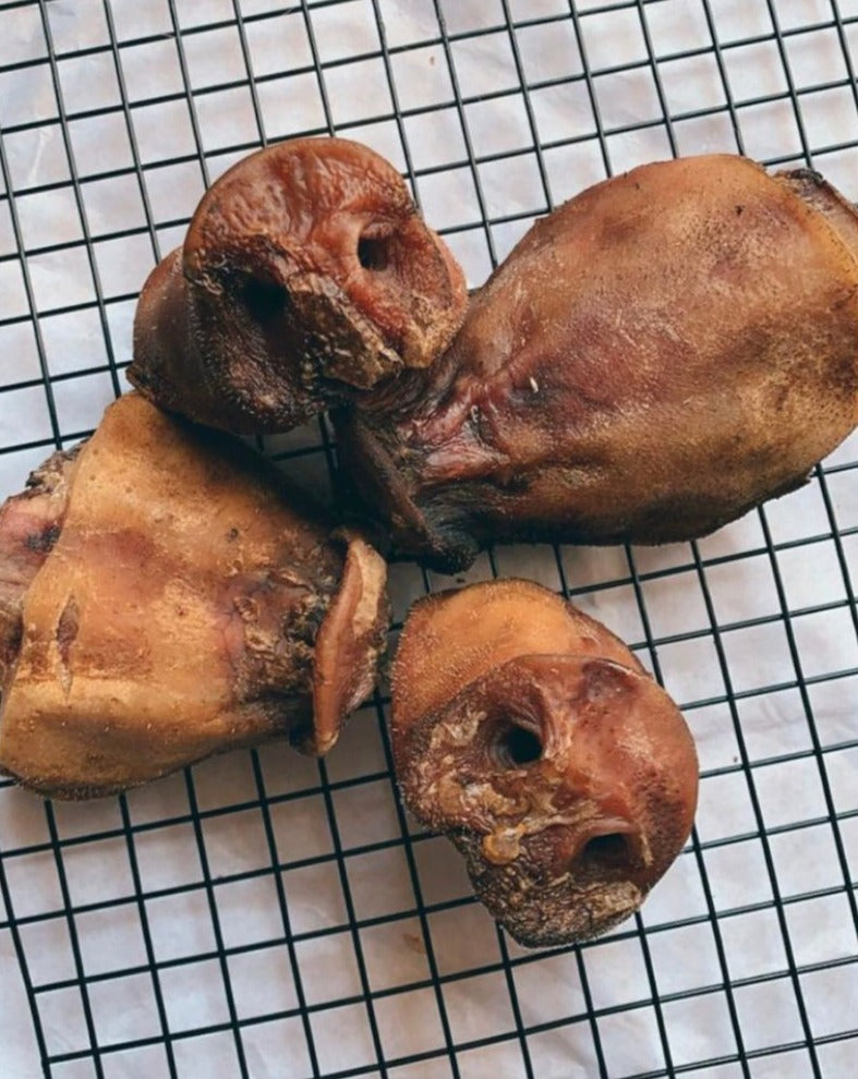 Pork Snout