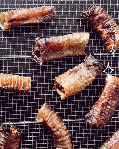 Stuffed Trachea