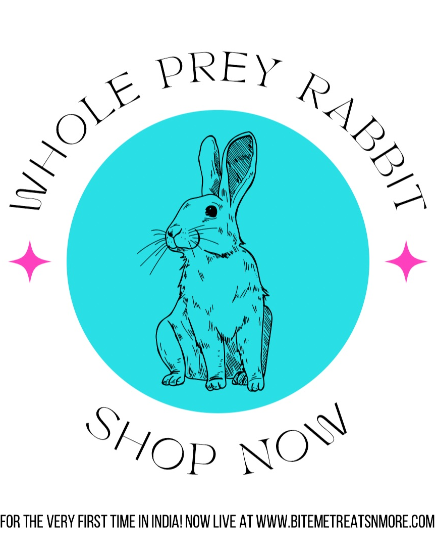 Whole Prey Rabbit