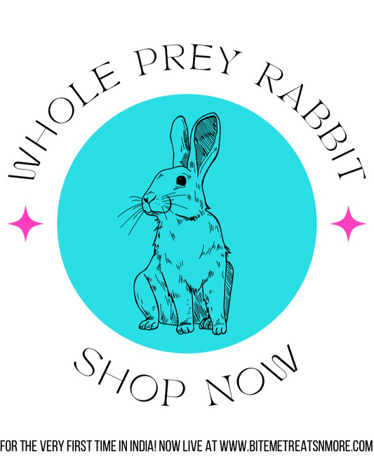 Whole Prey Rabbit