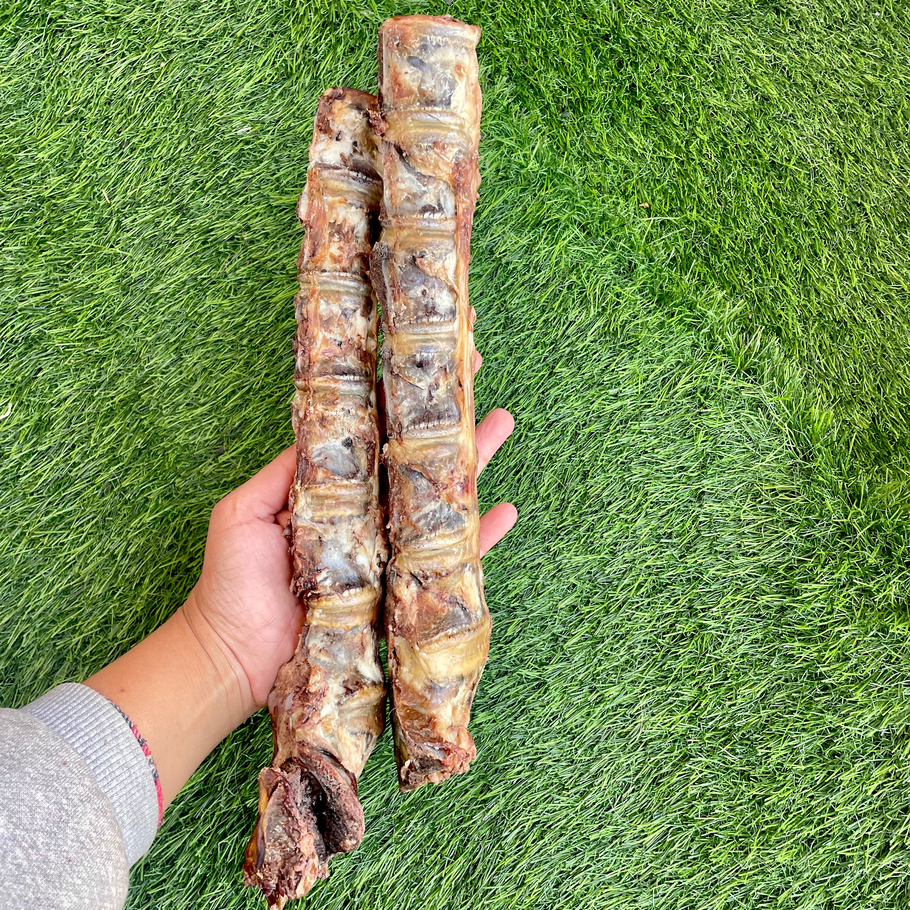 Buffalo Spine Stick Chew