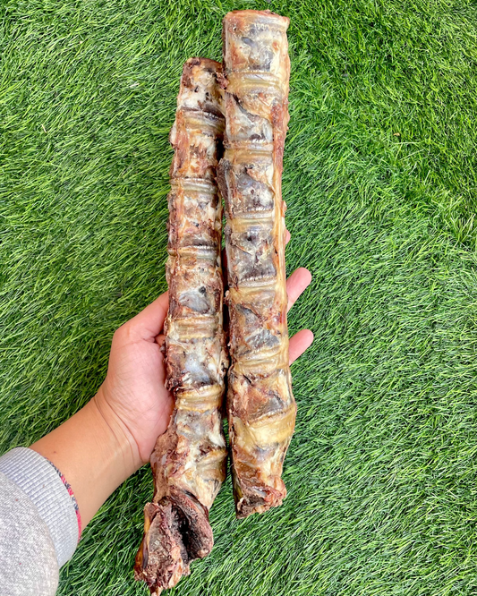 Buffalo Spine Stick Chew
