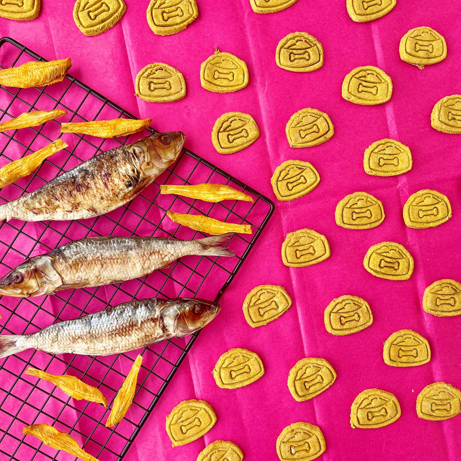 Turmeric and Fish Cookies