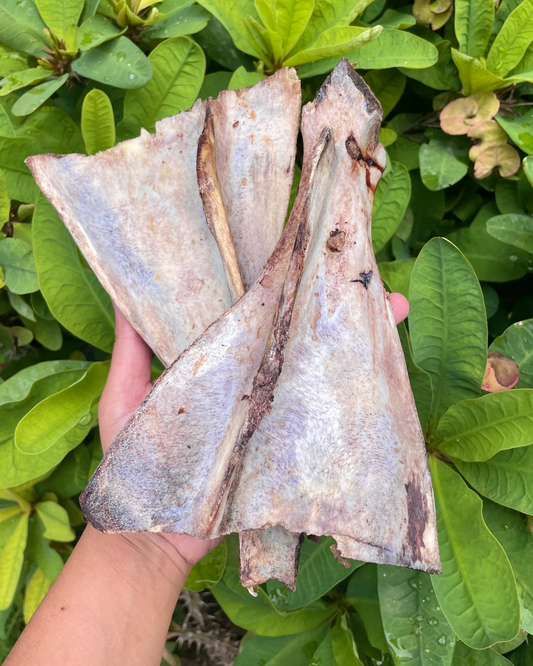 Buffalo Shoulder Chew