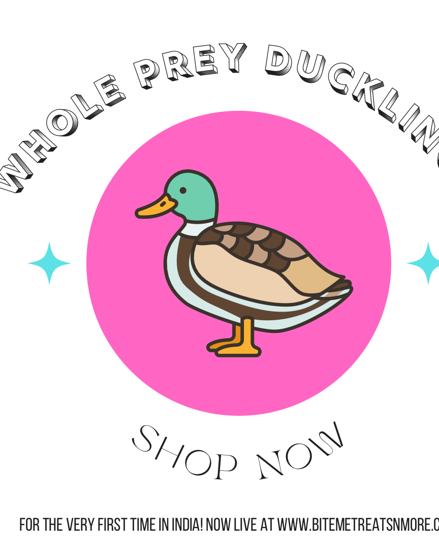 Whole Ducklings