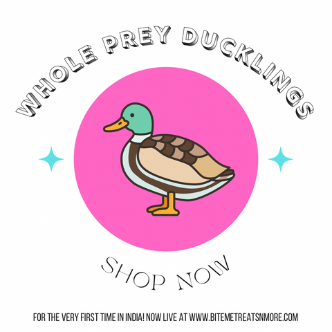 Whole Ducklings