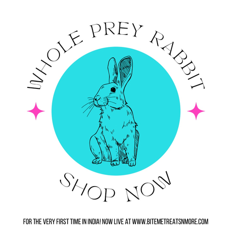 Whole Prey Rabbit
